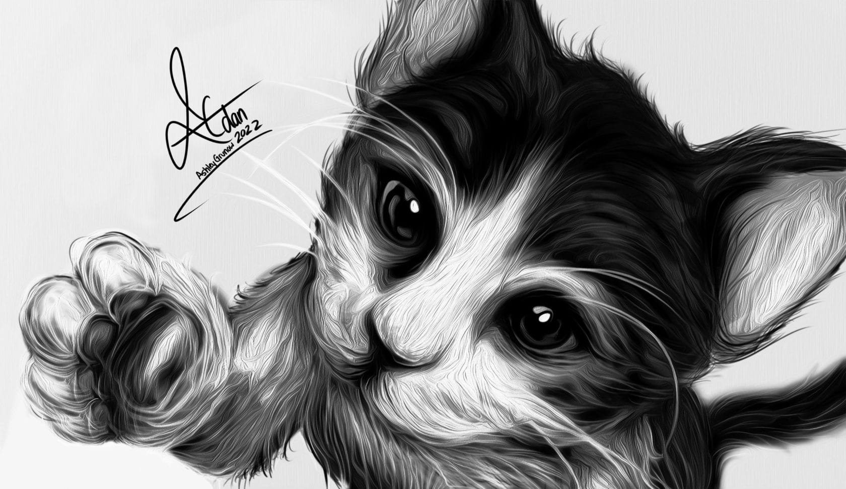 A black and white drawing of a kitten. 2D art by Ashley Grunow.